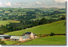 View over the farm